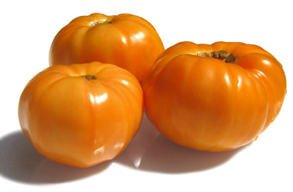 Amana Orange Tomato Glen Seeds