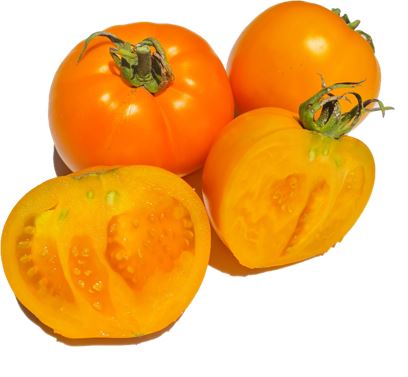 Golden Jubilee Tomato