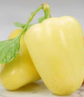 White Lakes Sweet Pepper